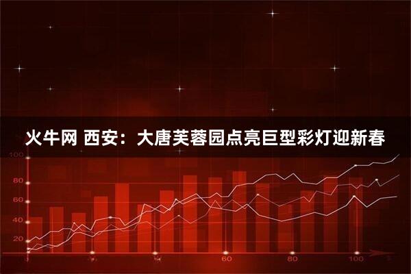火牛网 西安：大唐芙蓉园点亮巨型彩灯迎新春