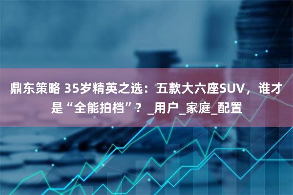 鼎东策略 35岁精英之选：五款大六座SUV，谁才是“全能拍档”？_用户_家庭_配置