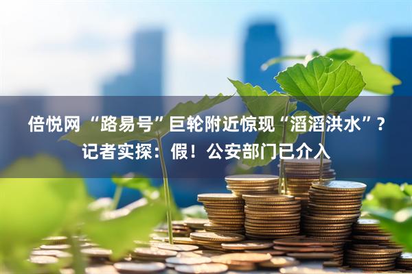 倍悦网 “路易号”巨轮附近惊现“滔滔洪水”？记者实探：假！公安部门已介入