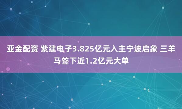 亚金配资 紫建电子3.825亿元入主宁波启象 三羊马签下近1.2亿元大单