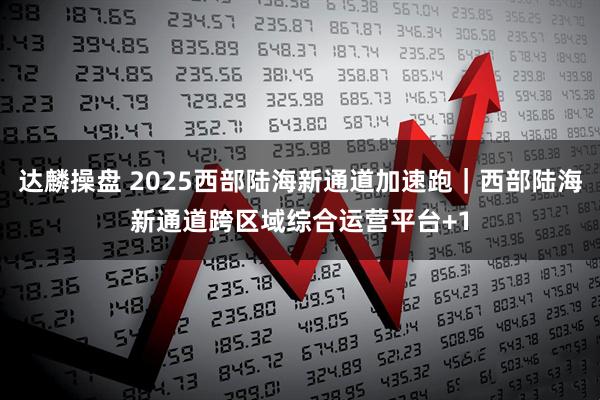 达麟操盘 2025西部陆海新通道加速跑｜西部陆海新通道跨区域综合运营平台+1