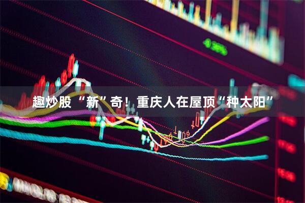 趣炒股 “新”奇！重庆人在屋顶“种太阳”