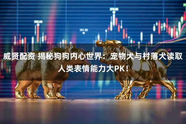 威贤配资 揭秘狗狗内心世界：宠物犬与村落犬读取人类表情能力大PK！