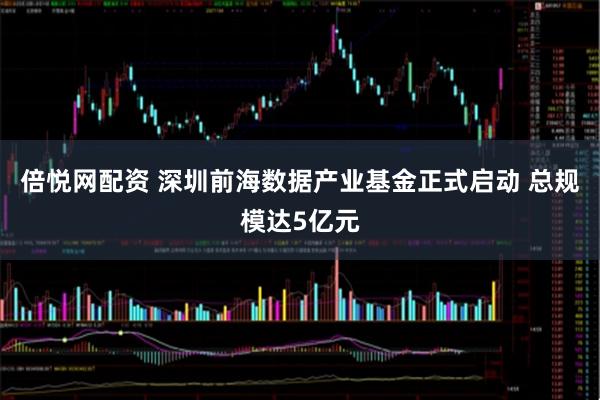 倍悦网配资 深圳前海数据产业基金正式启动 总规模达5亿元