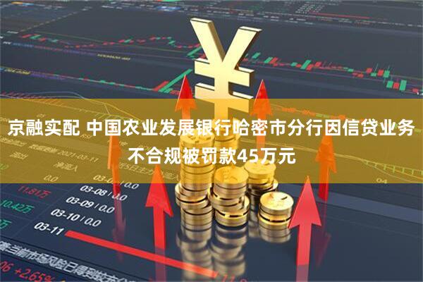 京融实配 中国农业发展银行哈密市分行因信贷业务不合规被罚款45万元