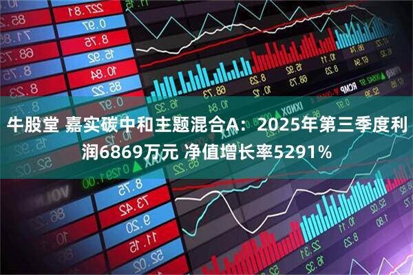 牛股堂 嘉实碳中和主题混合A：2025年第三季度利润6869万元 净值增长率5291%