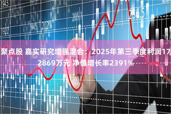 聚点股 嘉实研究增强混合：2025年第三季度利润172869万元 净值增长率2391%